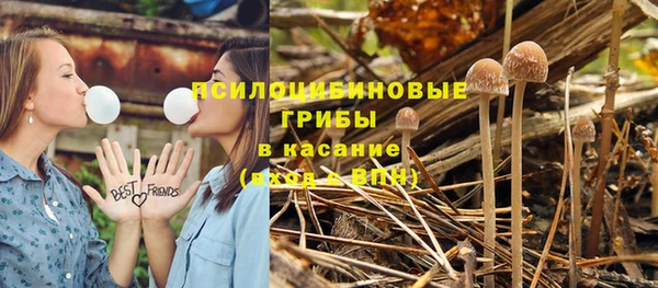 марки lsd Белокуриха