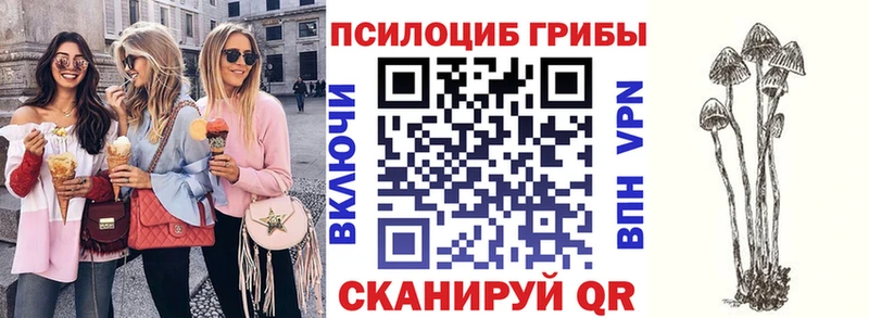 Псилоцибиновые грибы MAGIC MUSHROOMS  KRAKEN ссылки  Лыткарино 