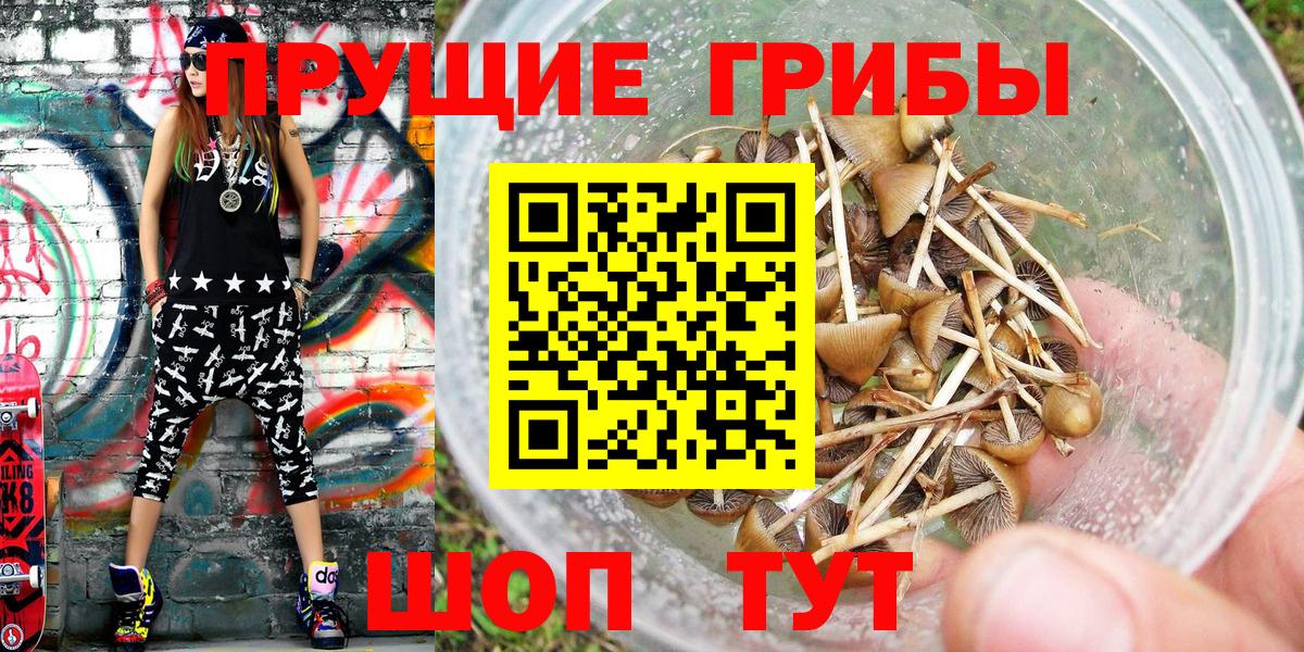 Лыткарино  Псилоцибиновые грибы Psilocybe  Галлюциногенные грибы мицелий  Вход с VPN 